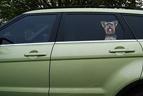 Reális Lásd Keresztül életnagyságú Tartós Külső Kutya Matrica autó, Otthon, Üzleti Ablak - Yorkshire Terrier
