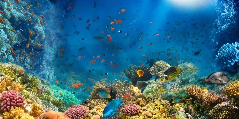 Yeele 20x10ft A Tenger Alatt Hátteret, Víz alatti Világ Korall Hal Akvárium Fotózás Háttér, a Gyerekek, a Gyerekek Születésnapi