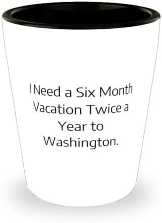 A szarkazmus Washington Poharat, Szükségem van egy Hat Hónapos Nyaralás Évente Kétszer Washington, Ajándék, Újrafelhasználható