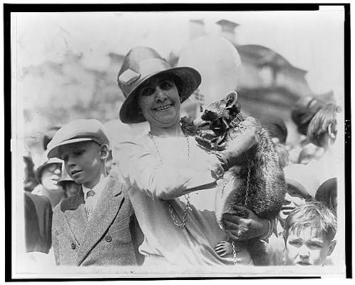 Fotó: Mrs Calvin Coolidge,G Goodhuet,Mosómedve, Rebecca,Gyerekeknek,Húsvéti Tojás, Gördülő,1927